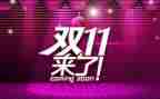 双11销售演讲稿优质5篇