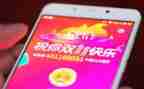 双11市场调查报告优质5篇