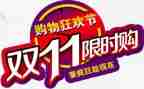 双11销售演讲稿通用5篇