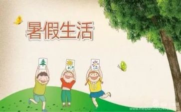 暑假培训心得体会优质6篇