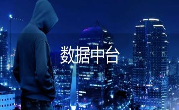 有数据的工作总结最新5篇