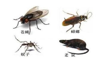 灭四害工作计划参考8篇