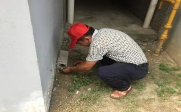 灭四害工作计划8篇
