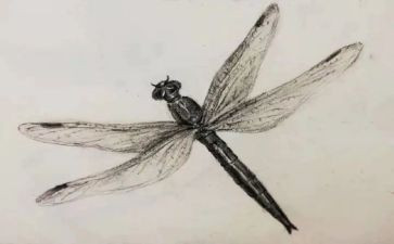 素描班教学计划8篇
