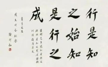 陶行知教育读书心得体会8篇