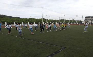 小学体卫工作总结7篇