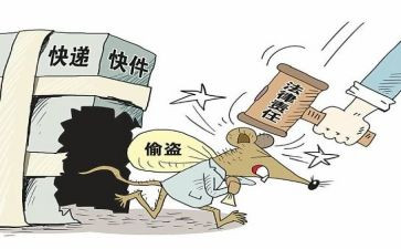 偷西瓜的獾读后感7篇