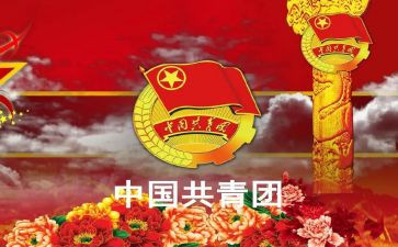 优秀团干部主要事迹5篇