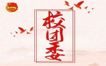 上挂团委工作总结推荐7篇