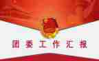 团委工作月总结优质5篇