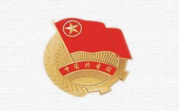 学校团务工作总结5篇