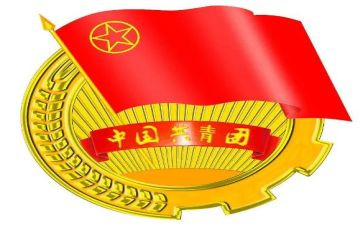 团支部的年度总结报告7篇