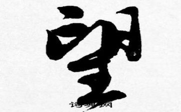 我的愿望的作文500字7篇