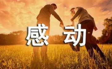 感动了我作文8篇