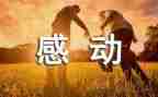 感动了我作文8篇