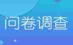 问卷调查及总结报告6篇