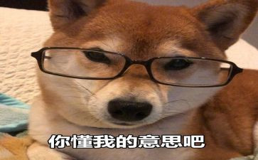我读懂了你作文5篇