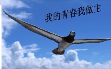 我的青春我做主的演讲稿参考6篇