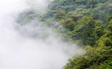 雾都孤儿观后感优质6篇