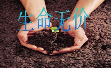 无价的读后感7篇