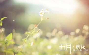 幼儿大班五月工作计划7篇
