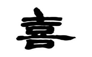 我最喜欢动物的作文5篇