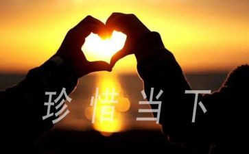 惜青春演讲稿8篇