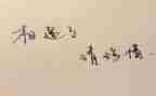珍惜校园的演讲稿5篇