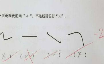 线段、直线和射线教案8篇