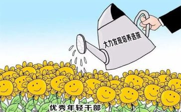 乡镇干部的培训心得体会6篇