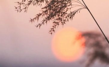 祥子人物读后感8篇