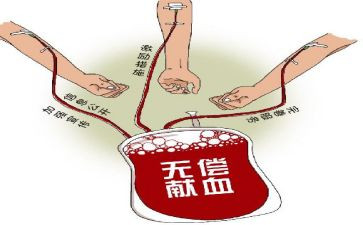 献血活动的活动方案策划5篇