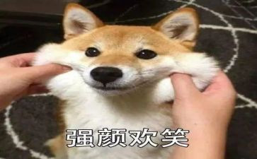 笑对生活作文600字模板7篇
