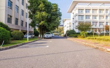 申请校内奖学金的申请书7篇