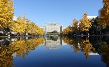 申请校内奖学金的申请书优质7篇