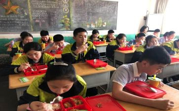 小学生教育与心得体会5篇