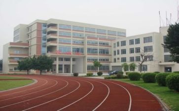 校园的小活动总结推荐8篇