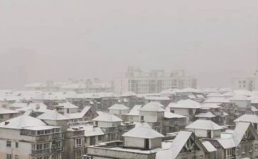 下雪了优秀作文8篇