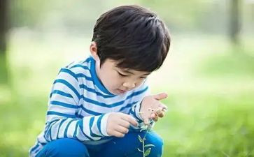 舞蹈兴趣班教学总结5篇