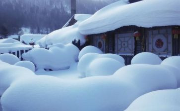 雪的读后感最新6篇