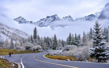 实践活动扫雪心得体会7篇