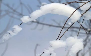 实践活动扫雪心得体会最新8篇