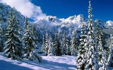 雪国读后感600字7篇