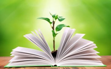 高中历史学期教学工作总结6篇