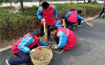 学雷锋活动月总结7篇