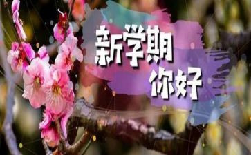 教师个人学期教学总结8篇