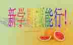 学期总结与下学期总结通用6篇