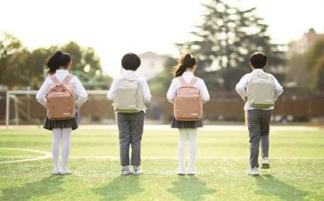 个人学生年度总结精选8篇