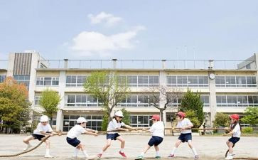 学生工作报告模板8篇