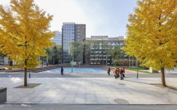2023学校安全演讲稿5篇